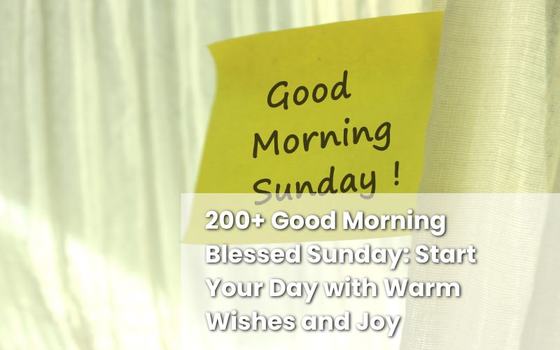 A bright Sunday morning with text "Good Morning Blessed Sunday Warm Wishes" and sunshine background.