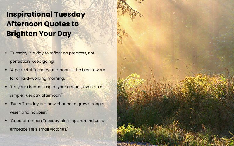 A peaceful afternoon with inspiring quotes and good afternoon Tuesday blessings.
